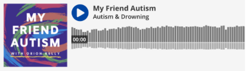Erika Gleeson On My Friend Autism Podcast